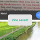 Image for article titled How to Save Your Vines Before It's Too Late